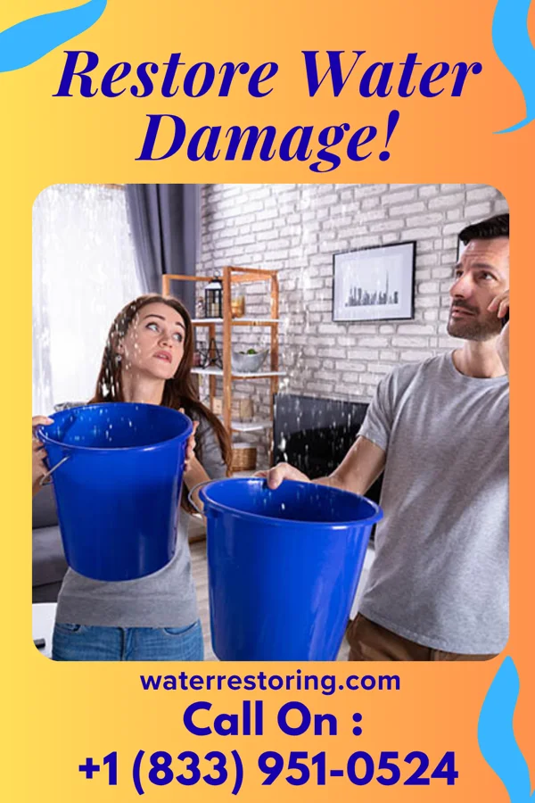 water restoration Platinum Damage Recovery Group Scottdale