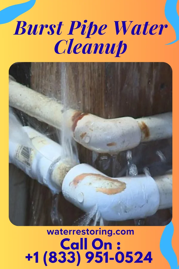 Burst Pipe Water Cleanup in Scottdale, PA