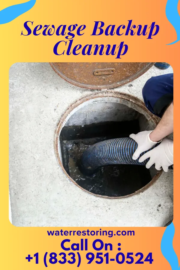 Sewage Backup Cleanup in Scottdale, PA