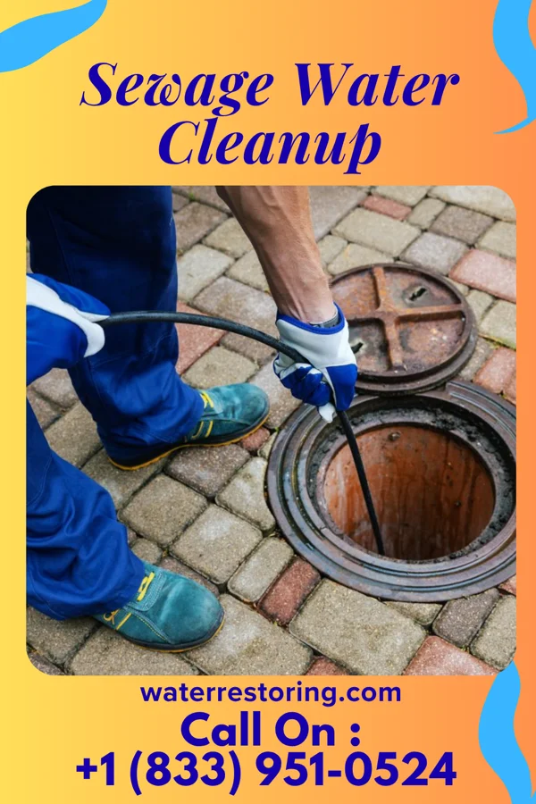 Sewage Water Cleanup in Scottdale, PA
