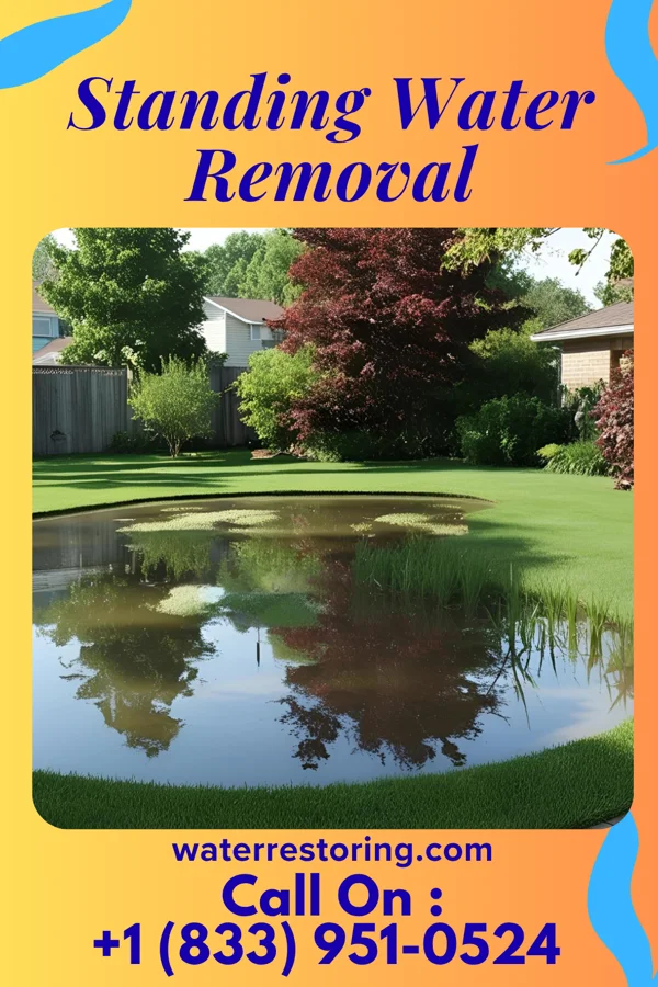 Standing Water Removal in Scottdale, PA
